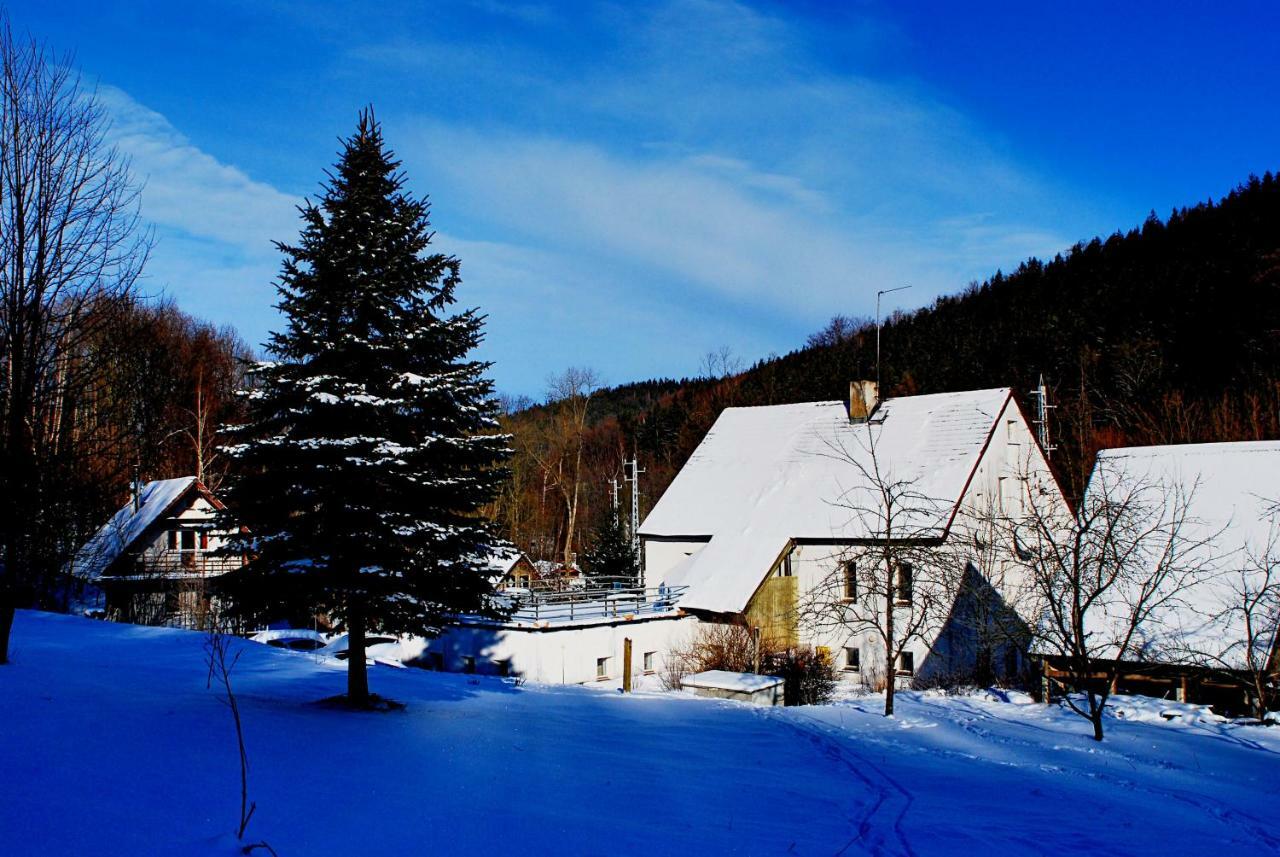 Biotanika Villa Michalkowa Exterior foto